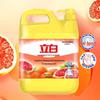 Produse chimice de uz casnic – Detergenți de spălat vase