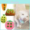 Carrot Fruit Plush Doll With Pp Cotton Filling For Kid And Pets