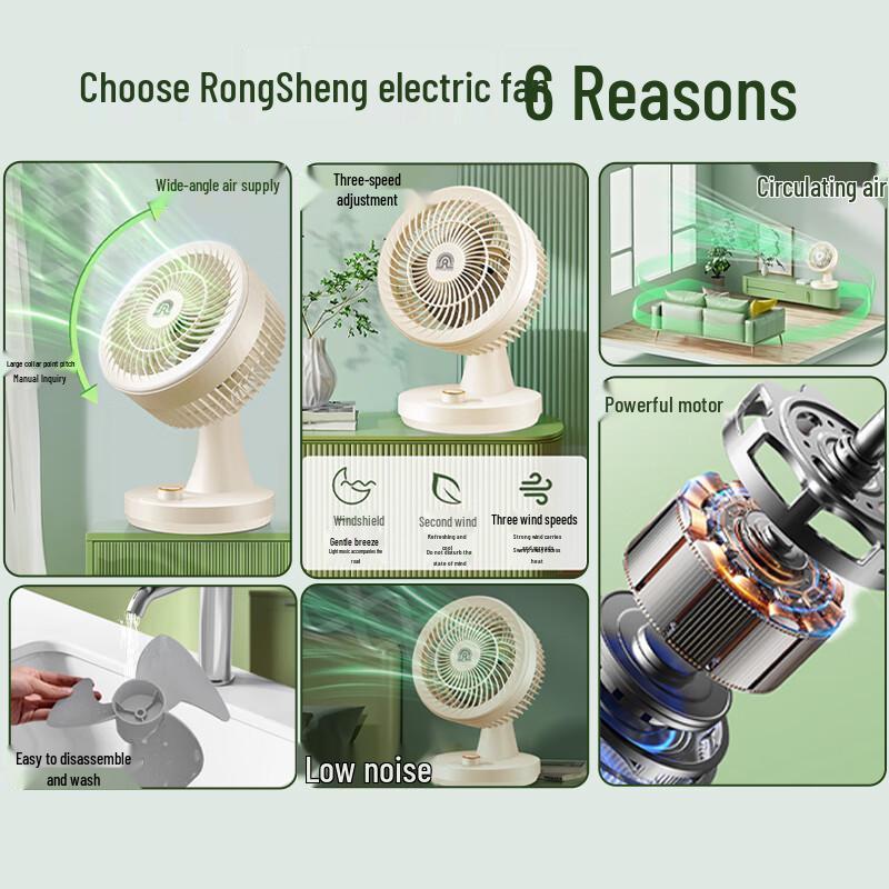 RONGSHENG Quiet Oscillating Desktop Circulation Fan CN Plug (adapter Included)