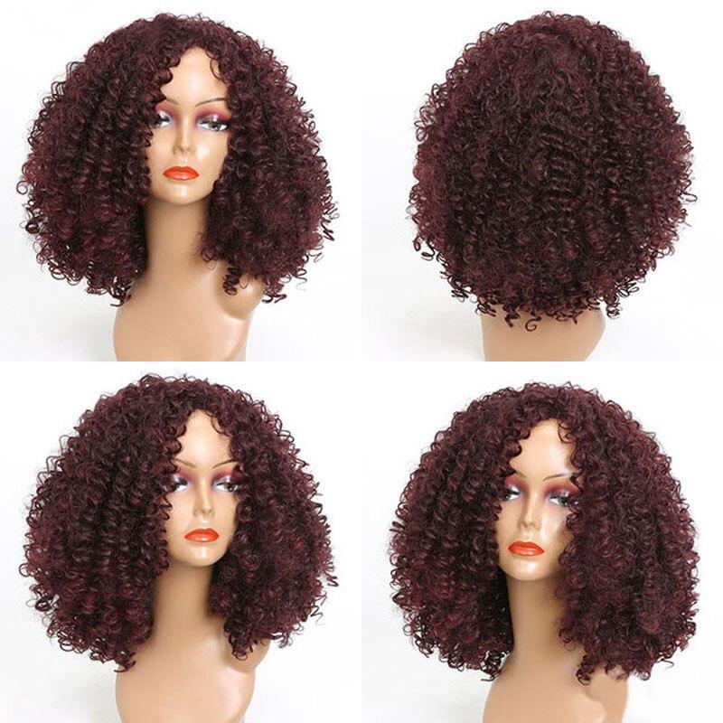 LISI HAIR Women's Short Afro Kinky Curly Wigs With Bangs Ombre Brown Synthetic Wig Black Daily Party Headgear with Clips