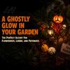 Outdoor Pumpkin Decorations Halloween Solar Garden Stake Light Metal Decorative Stakes IP65 Weather Resistant Lights Waterproof LED Landscape