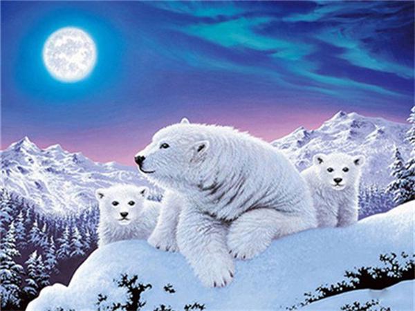 Full Square/round Diamond Painting Embroidery Polar Bear Home Decor Mosaic Cross Stitch Arctic Animal Wall Sticker