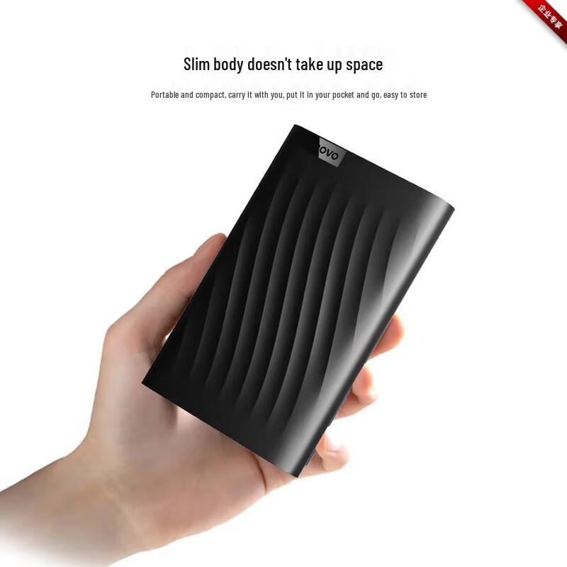 Lenovo F309 Lite Portable Hard Drive