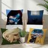 Singer album BBillieS Vintage   Cushion Cover Decorative Pillow Sofa Home Decor case pillow cases