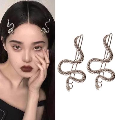 2pcs Gothic Punk Metal Snake Shaped Hairpin Serpentine Hair Pins Versatile Accessory Girls Retro Barrettes Jewelry