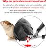 Professional Cat Nail Clipper Cat Cutter Scissors with Light Pet Nail Clipper for Cat Dog Grooming Claw Scissors Pet Products