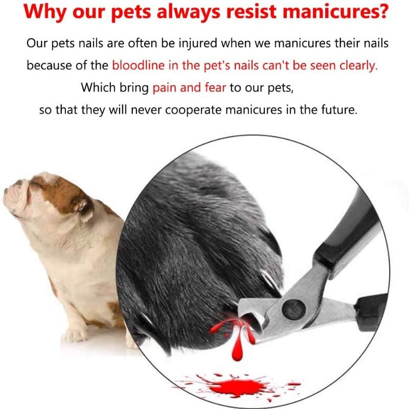 Professional Cat Nail Clipper Cat Cutter Scissors with Light Pet Nail Clipper for Cat Dog Grooming Claw Scissors Pet Products