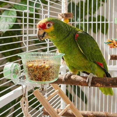 Bird Feeding Station Transparent Magnetic Bird Feeder Anti-Splash Removable Pet Feeder Ledge Anti-Tip Water Dispense Drinking