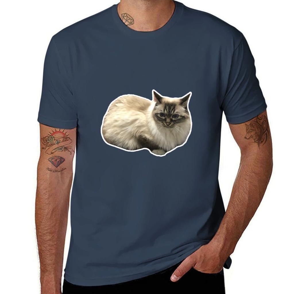 Primcess Pamcake Concerned Tshirt Minimalist Casual Short Sleeve Top Tshirt
