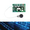 High Efficiency 10A Direct Current Motor Speed Regulator Controller 10V-60V PWM Control For Fan And Pumps Automation