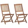 VidaXL Lot de 2 Chaises Pliables de Jardin avec Coussins, Sièges de Terrasse, Chaises de Salle à Manger, Meubles de Patio 3064653