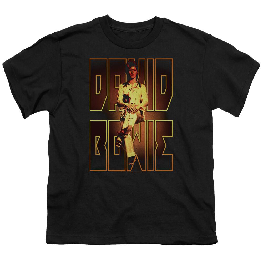 26 David Bowie Perched Kids Youth T Shirt Licensed Music Rock Band Tee Black Unisex T-Shirt XXXXL