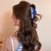 New Ocean Series Sardine Hair Clip, Unique Niche Design, Premium Shark Clip, Cute Hairpin