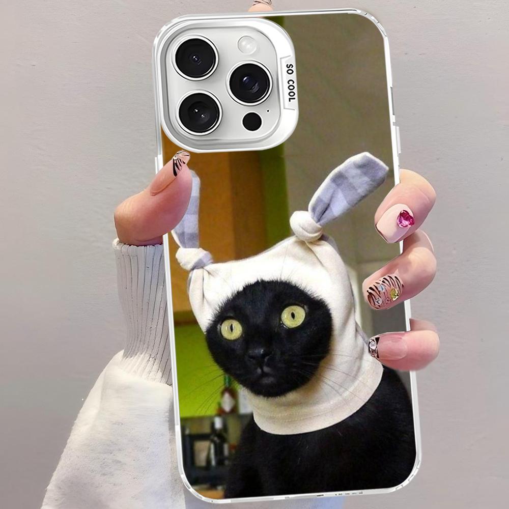 Pet Cat Funny Memes Phone Case For IPhone 16 15 14 13 12 11 Pro Max X XR XSMAX 8 7 Plus Matte Shockproof Back Cover