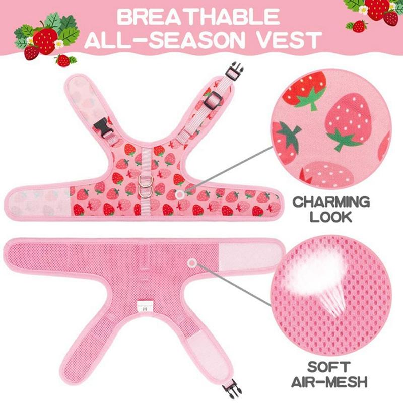 Katzen Geschirr und Leinen Set Sicher Verstellbar Kätzchen Westen Geschirre Niedlich Rosa Atmungsaktives Mesh Jacke Einfache Kontrolle für Welpen Spaziergänge