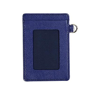 Color Chart Pass Case 03 Ultramarine