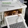 Turtle Egg-Laying Pond & Incubation Box with Basking Platform and Sand Pool