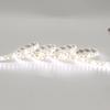 Winder LED Tape White Base 5m 600 SMD Front Light