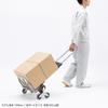 SANWA SUPPLY Folding Carry (3-Wheel Staircase Cart) CART-FA6GY