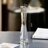 Eco Micro Landscape Hydroponic Glass Vase for Single Stem - Transparent, Creative, Simple Flower Arrangement Decor