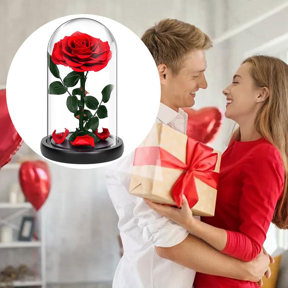 

Preserved Rose In Glass Domes With LED Light Gift For Girlfriend Sturdy Lasting For Year Romantic Dinner Setting CHINA