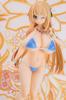 Naughty Bikini Girl Saeko Sasaki Limited Distribution Scale PVC Painted Complete Figure 1/6