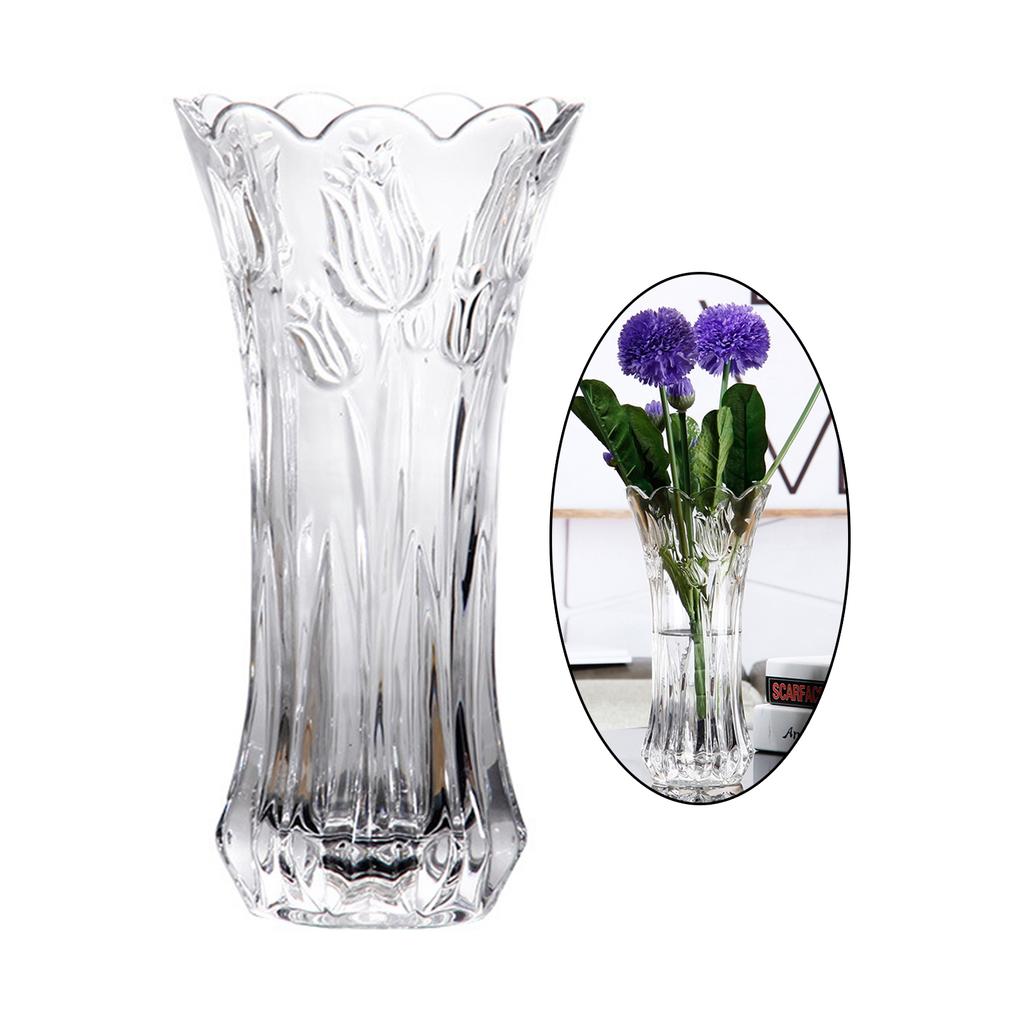 Indoor Clear Glass Flower Vase Large Size Glass Thickening Flower Vase for Bookshelf Dry Flowers