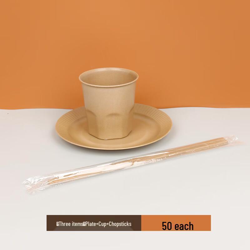 Shixun Disposable Tableware Set