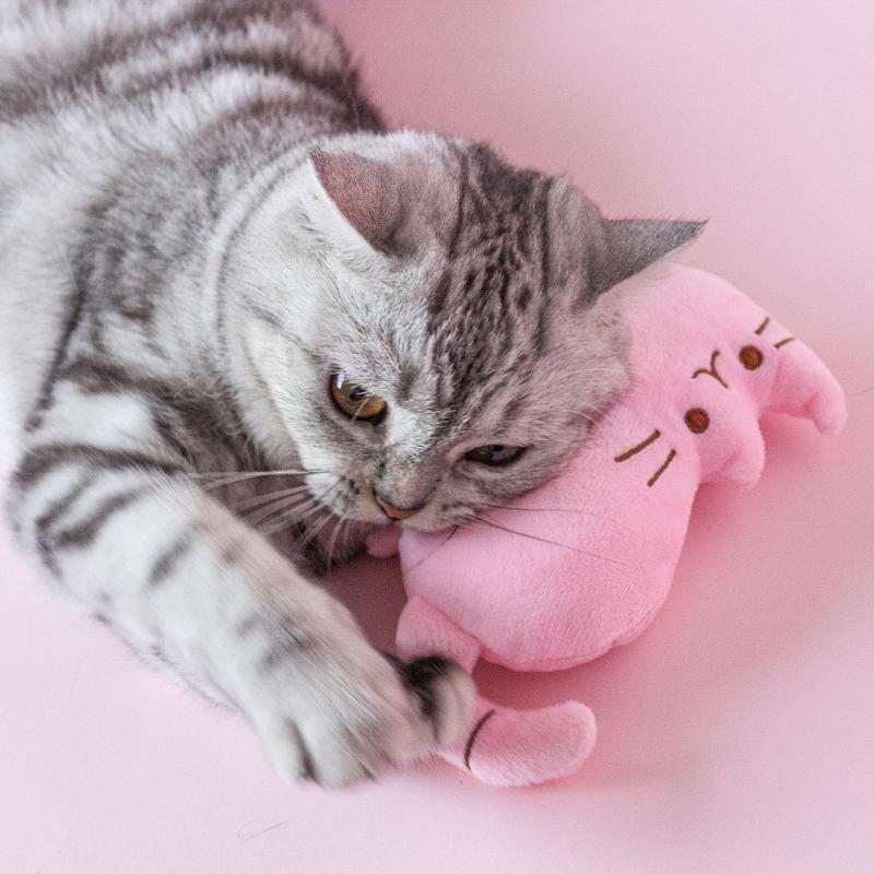 Narzędzie do zabawy podczas szkolenia zwierząt pluszowy kociak zabawka psy koty zabawki dla zwierząt artykuły dla zwierząt