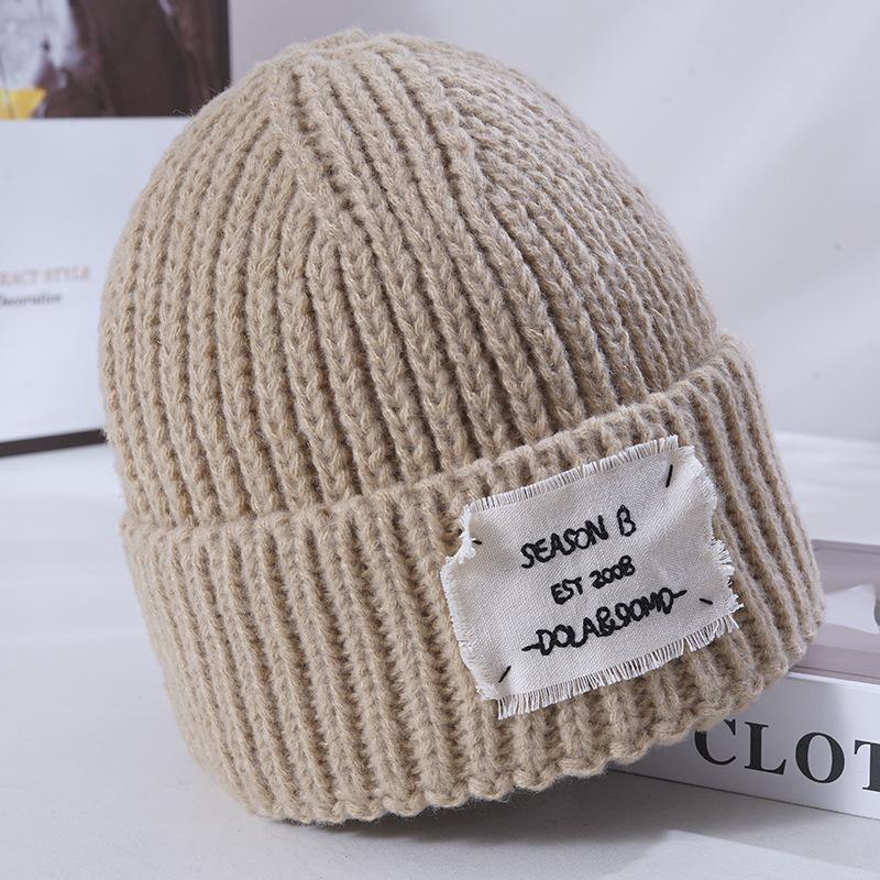 Women's New Warm Knitted Hat Korean Style Versatile Loose Face and Small Windproof Ear Protection Wool Hat Cold Hat Men
