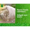 Seeds BHS 10 kg