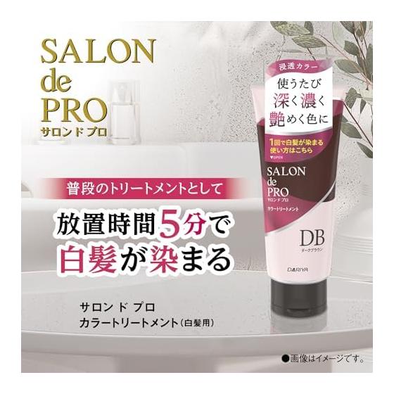 Salon de Pro Gray Hair Dye Color Treatment Natural Black 180g