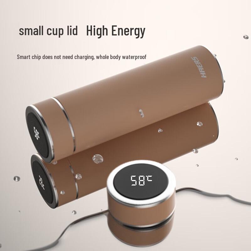 HAERS 500ml Smart Temperature Display Thermos Mug