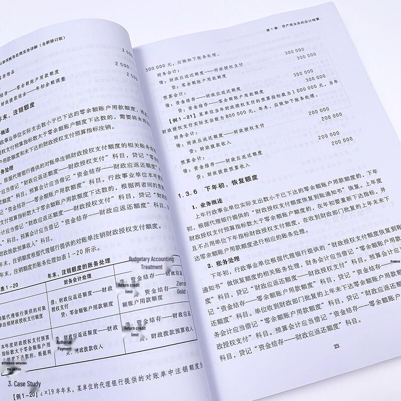 Government Accounting System Practical Guide
