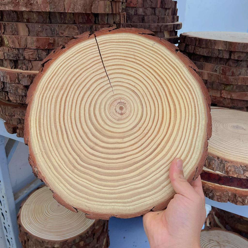 DIY Hand-Painted Wooden Slices for Crafts and Kindergarten Decor – Small Natural Wood Pieces with Growth Rings