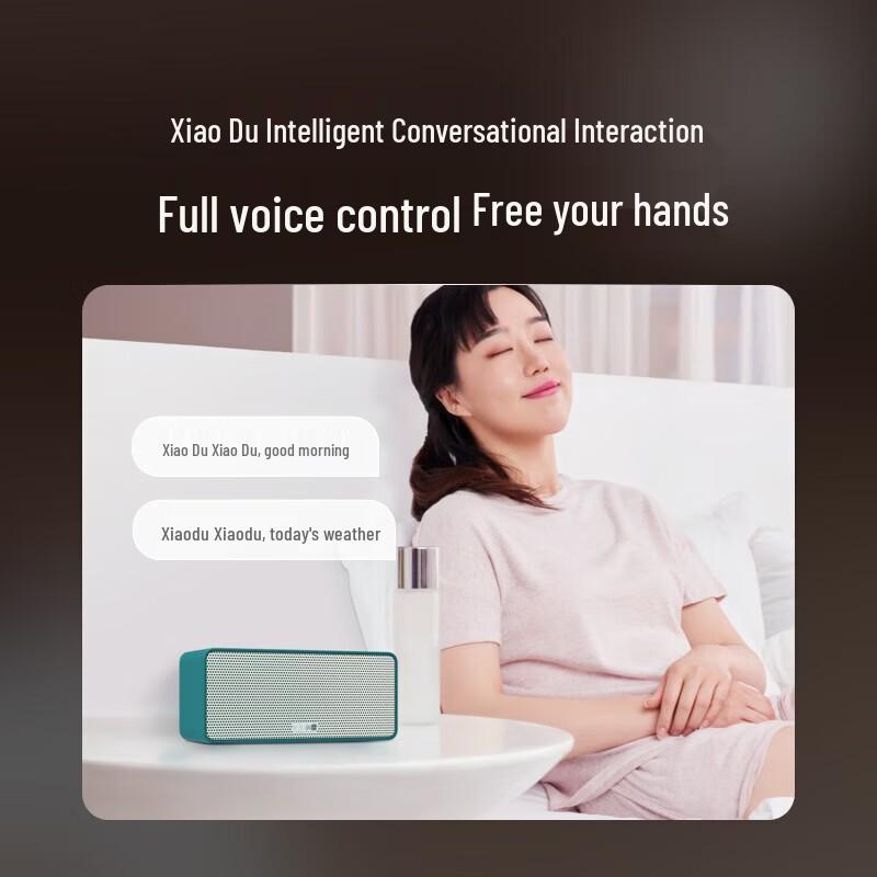 XiaoDu Smart Speaker with AI Voice Control CN plug (adapter included) (CN version)