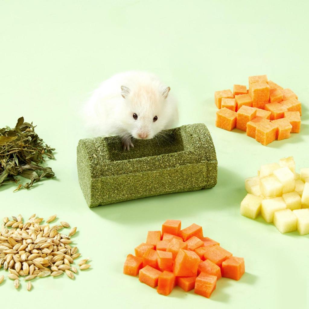 Hamster Chew Toys For Teeth Pet Feeding Bowl Natural Chinchilla Chew Toys For Enrichment Play Hamster Chinchilla Bunny Cage