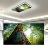 Fluorescent Light Cover with 10 Magnets Exquisite Pattern Easy Installation Fluorescent Light Filter Magnetic Ceiling Light Cover