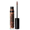Eyebrow Big Boost Fiber Gel Gift Penny 4.1g