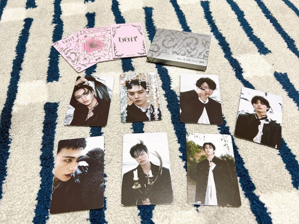 [USED] stray kids Do It Accordion verHAN