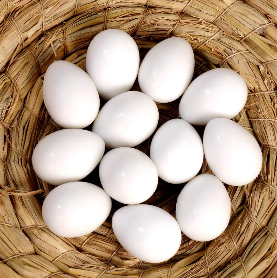 Jucării Pasăre False pentru Set de 10 Ouă de Plastic Imitație pentru Peruși și Păsări Mici Accesorii Ouă pentru Hrănire DIY Accesorii Grădinărit Ouă, Peruși, Păsări, Consumabile,