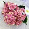 Elegant Hydrangea Artificial Flower Set With Silk Fabric For Home Decor And Wedding Arrangements