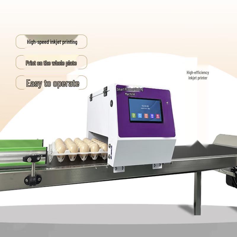 Single-Head Automatic Egg Coding Machine