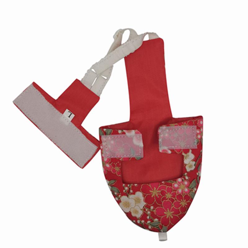 Pet Bird Costume & Diaper Suit for Parrots, Mynas, and Pigeons