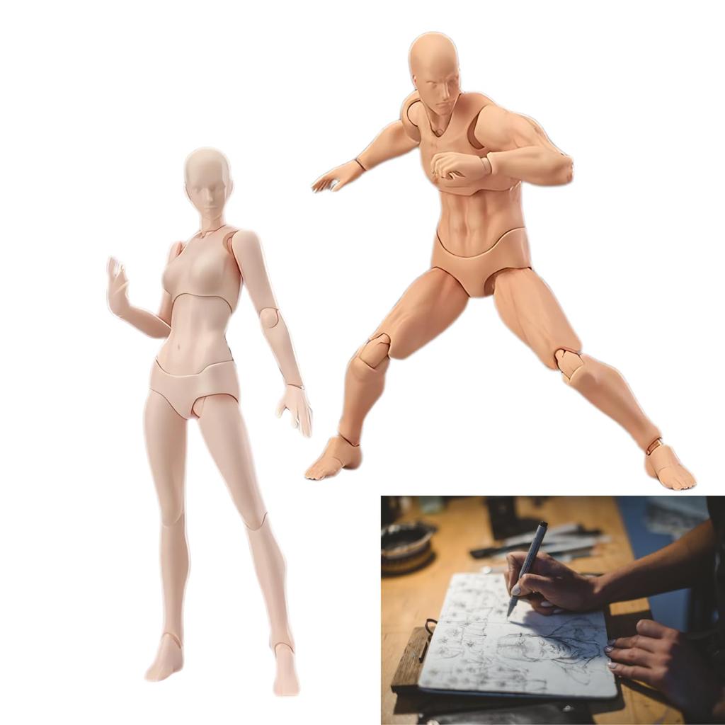 HAPPY SUGAR Drawing Movable Posable Hobby Human Body Drawing Male and Female Set Doll, Figure, Mannequin, Doll, Stand,