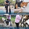Pet Mobility Support Belt for Elderly or Disabled Cats and Dogs