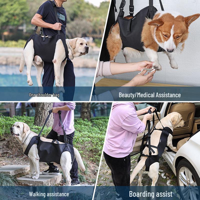Pet Mobility Support Belt for Elderly or Disabled Cats and Dogs