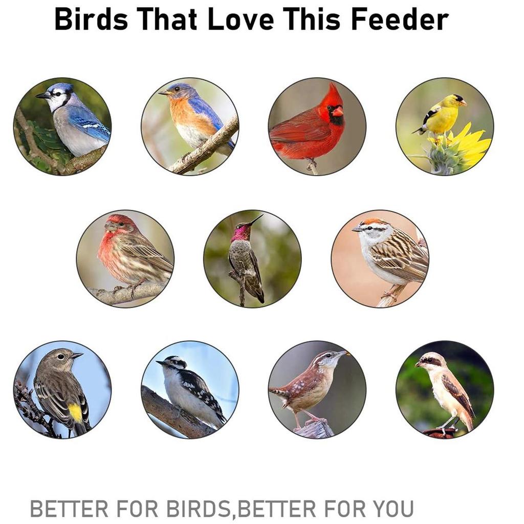 מזין ציפורי בר 2 ב-1 צינור זכוכית ומתלה מתכת לחצר גינה חיצונית