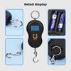 Electronic 50Kg 10g Hanging Scale LCD Kitchen Digital Scale BackLight Fishing Weights Pocket Scale Travel Luggage Scales