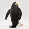 Macaroni Penguin 23 BH7092